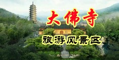 国产剧操逼了免费视频中国浙江-新昌大佛寺旅游风景区